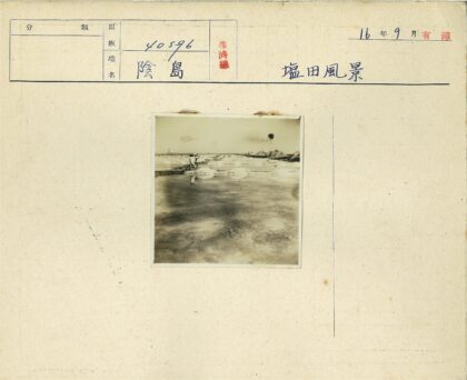 晴空下田野涉水行.jpg