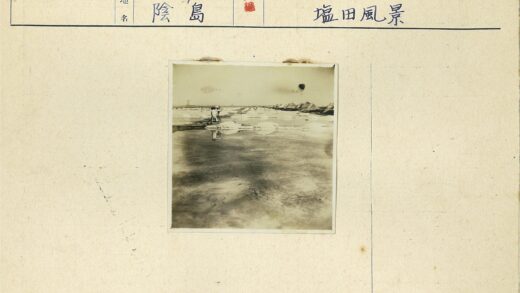 晴空下田野涉水行.jpg