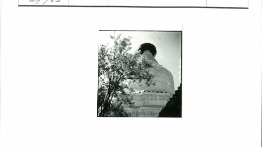 晴空下的圆顶佛塔与树影.jpg