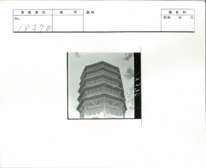 晴空下的多层宝塔与树枝.jpg