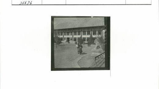 晴空下的瓦顶楼与石像.jpg