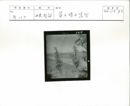 晴空下的田园风光.jpg