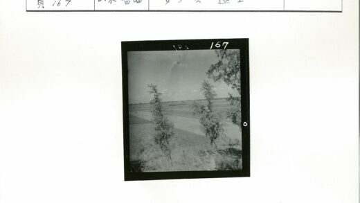 晴空下的田园风光.jpg
