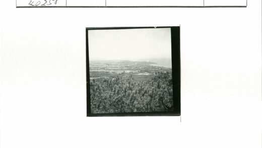 晴空下的田园风光.jpg