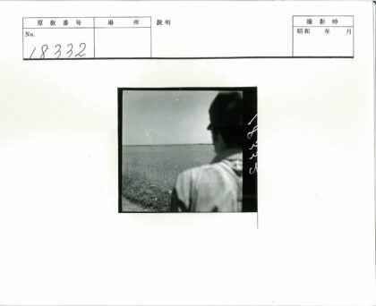 晴空下的田野远眺.jpg