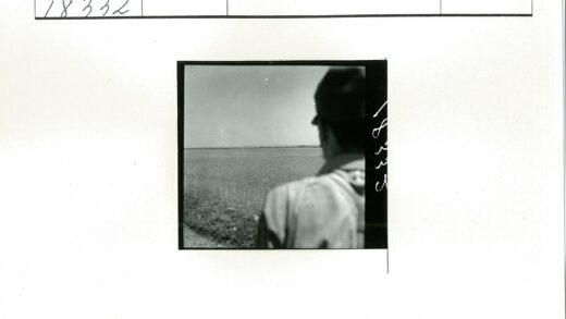 晴空下的田野远眺.jpg