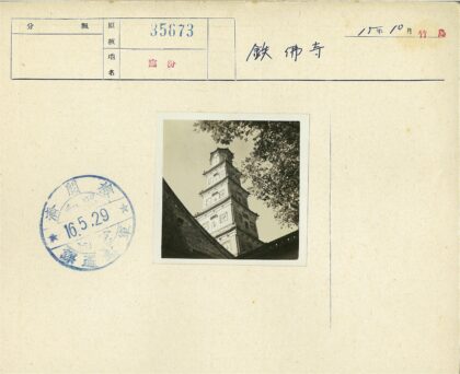 晴空下的高耸宝塔与枝叶.jpg