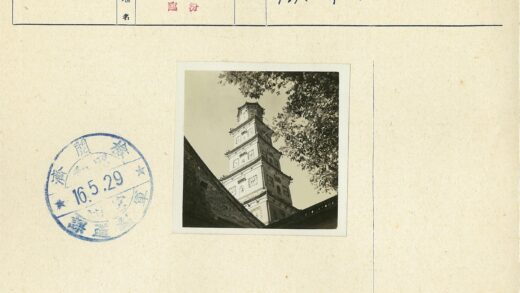 晴空下的高耸宝塔与枝叶.jpg