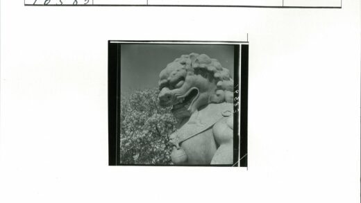 晴空下石狮子雕像特写.jpg