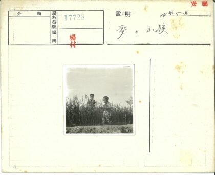 晴空下草地上的两个孩子.jpg