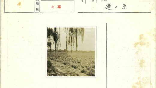 晴空下草地树枝远楼景.jpg