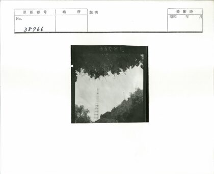 晴空下通讯塔与绿叶.jpg
