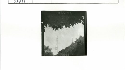 晴空下通讯塔与绿叶.jpg