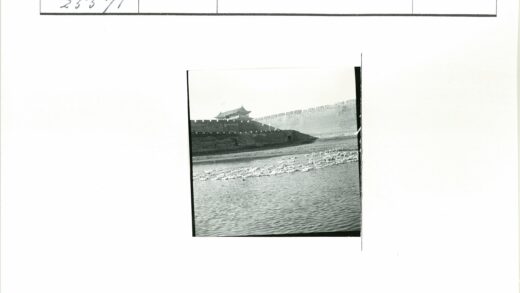 晴空下鸭子游传统建筑河景.jpg