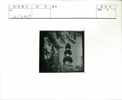 晴空古塔绿树映.jpg