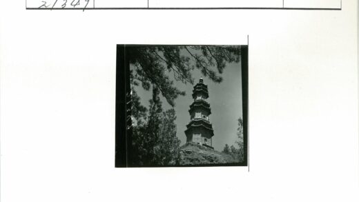 晴空古塔绿树映.jpg