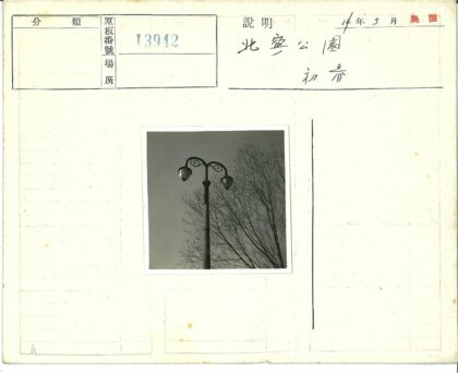 晴空古灯柱与秃树景.jpg