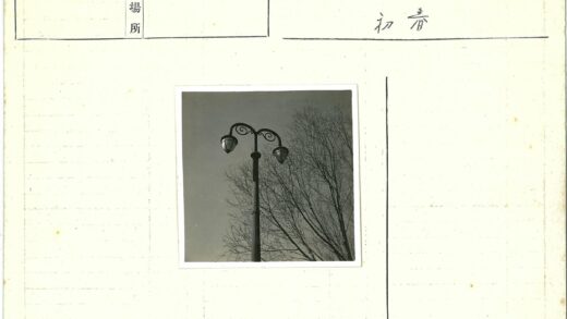 晴空古灯柱与秃树景.jpg