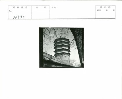 晴空宝塔与瓦顶枝影.jpg