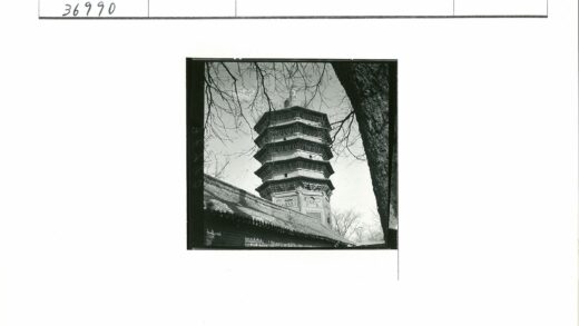 晴空宝塔与瓦顶枝影.jpg
