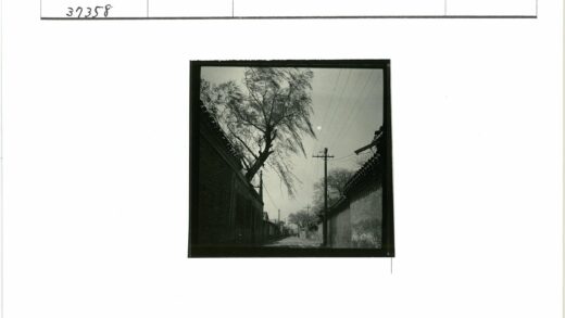 晴空小巷砖墙枯树.jpg