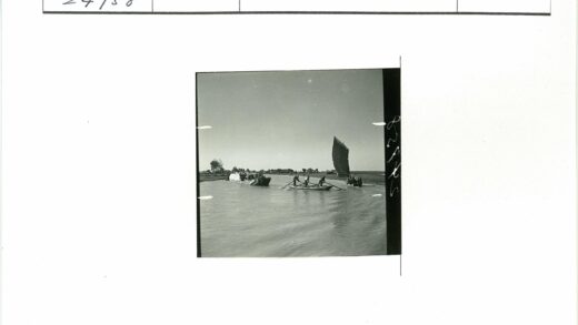 晴空帆船河流树木景色.jpg