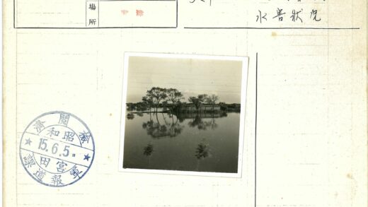 晴空树影建筑倒映水景.jpg