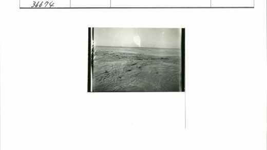 晴空泥岸静海交汇.jpg