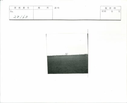 晴空田野与树木风光.jpg