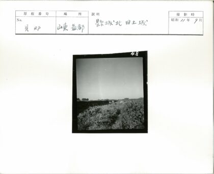 晴空草地与远树.jpg