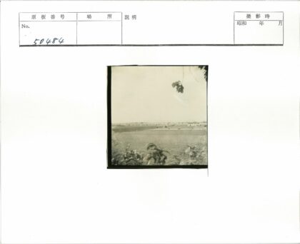 晴空草地动物与远建筑.jpg