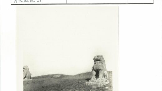 晴空草地石狮雕像.jpg