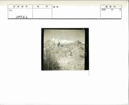 晴空草野映岩山.jpg
