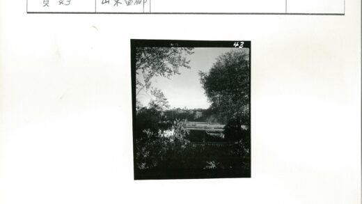 晴空远树宁静风景.jpg