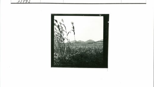 晴空高山草地风光.jpg
