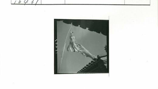 晴空鱼形风袜与木屋顶.jpg