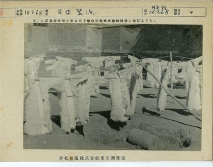 晾衣绳上的动物皮毛.jpg
