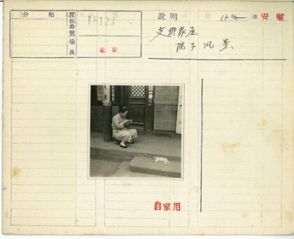 木屋前编织女子与台阶猫.jpg