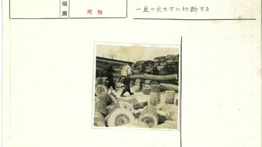 木材场原木切割与堆放工作场景.jpg