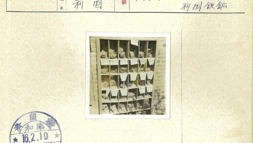 木架石标本分类展示.jpg