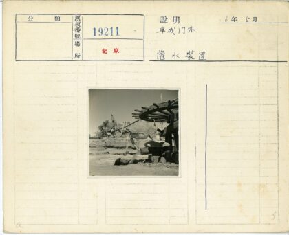 木桩拴驴树林石墙背景.jpg