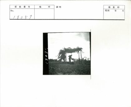 木棚手摇柄操作工人.jpg