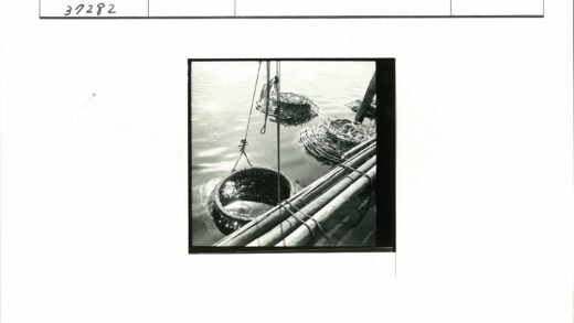 木筏边缘浸水编织篮.jpg