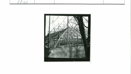 木结构建筑工地与枯树景观.jpg
