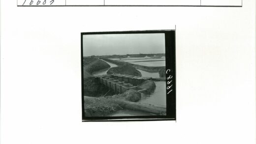 木结构灌溉渠与池塘景观.jpg