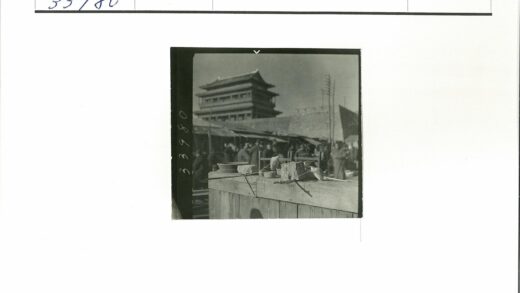 木结构街景与宝塔小鸟.jpg