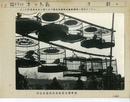 木结构鸟笼与剪影风景.jpg