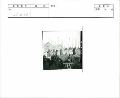 村民劳作与港口船只老景.jpg