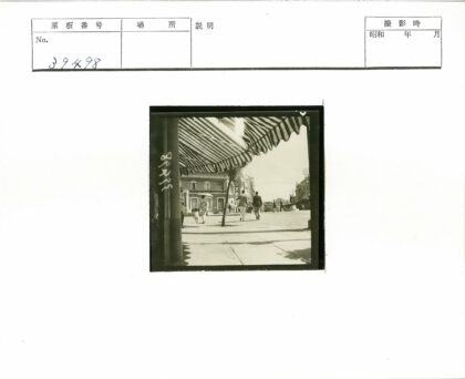 条纹树荫下行人街景.jpg