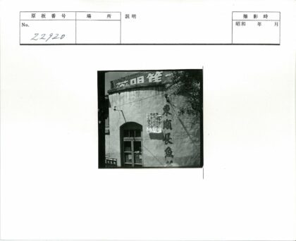 松岛路建筑窗景树灯.jpg